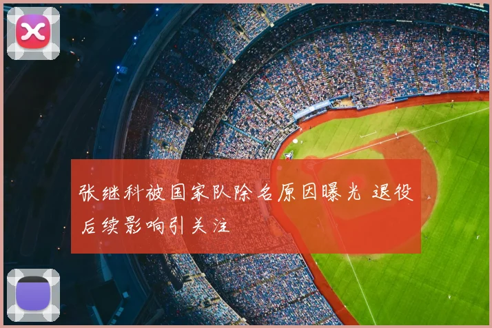 张继科被国家队除名原因曝光 退役后续影响引关注