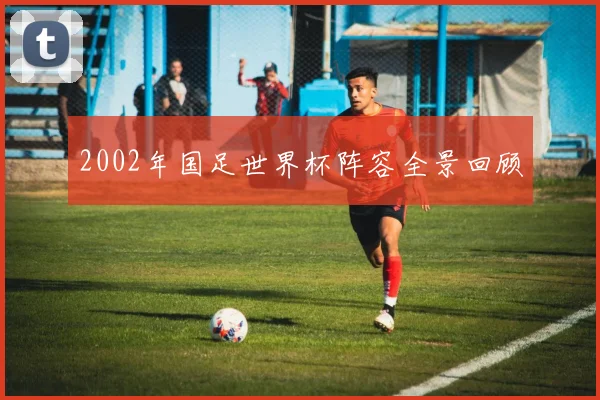 2002年国足世界杯阵容全景回顾