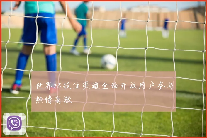 世界杯投注渠道全面开放用户参与热情高涨