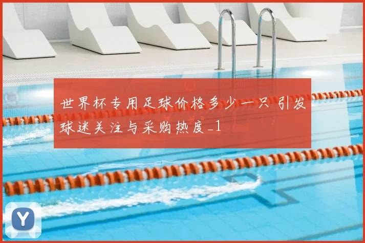 世界杯专用足球价格多少一只 引发球迷关注与采购热度_1