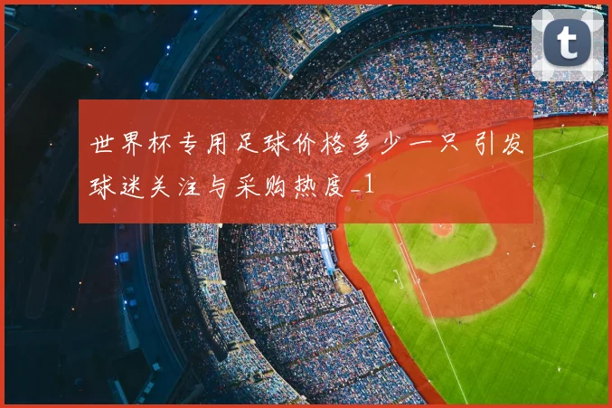 世界杯专用足球价格多少一只 引发球迷关注与采购热度_1