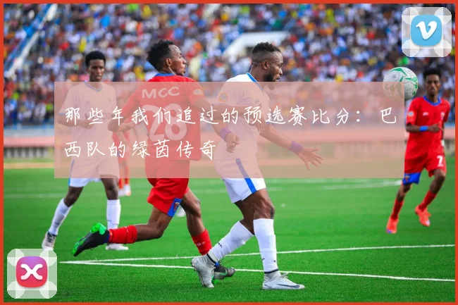 那些年我们追过的预选赛比分：巴西队的绿茵传奇