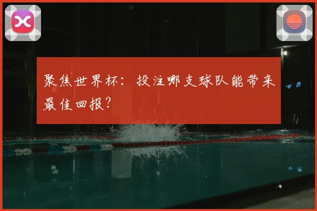 聚焦世界杯：投注哪支球队能带来最佳回报？