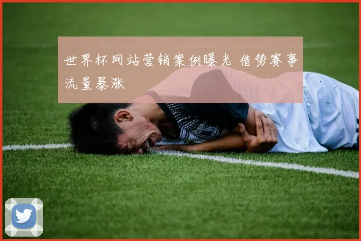 世界杯网站营销案例曝光 借势赛事流量暴涨