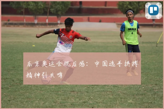 东京奥运会观后感：中国选手拼搏精神引共鸣