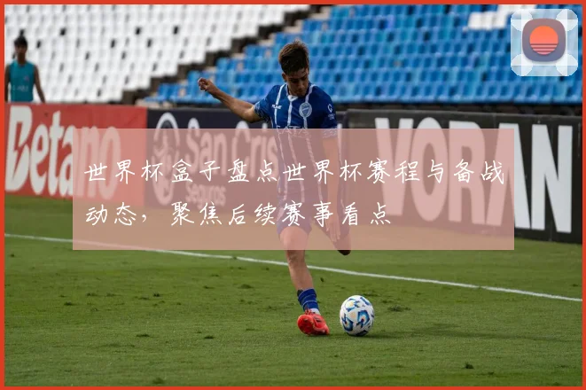 世界杯盒子盘点世界杯赛程与备战动态，聚焦后续赛事看点