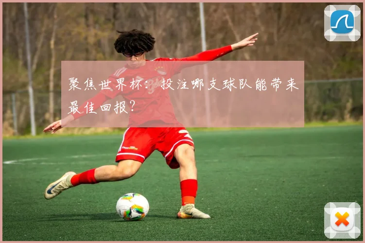 聚焦世界杯：投注哪支球队能带来最佳回报？