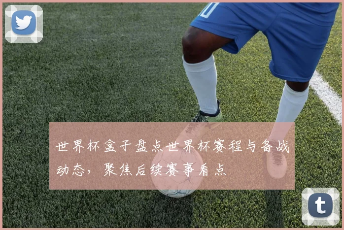 世界杯盒子盘点世界杯赛程与备战动态，聚焦后续赛事看点